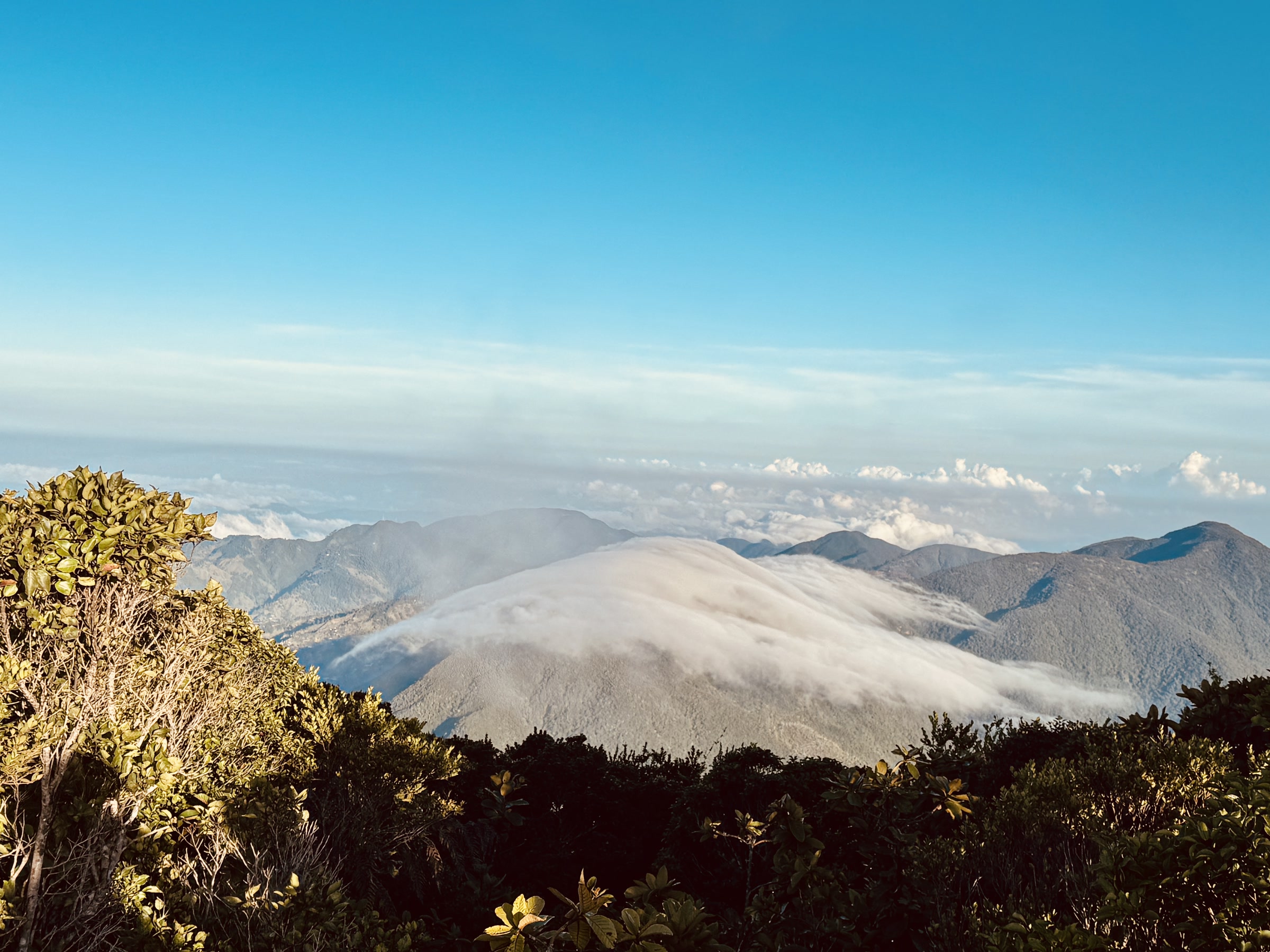 牙买加蓝山云海与山脊